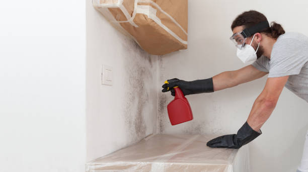 Professional Mold Remediation technician working in Watertown, MA